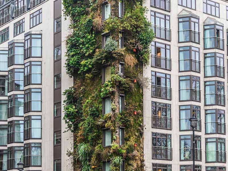 Green building