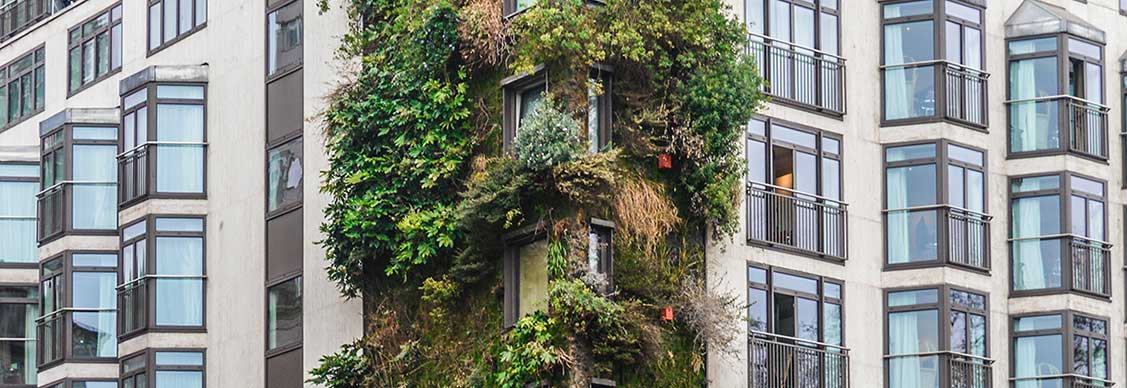 Green building 