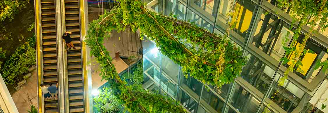Building with green plants