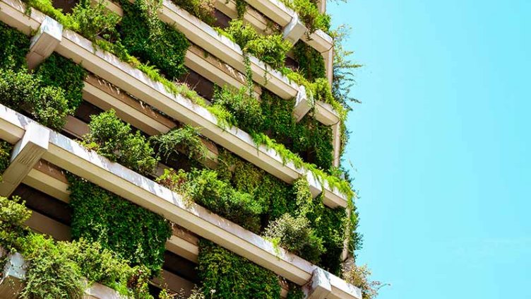 Sustainable Building with green vertical garden façade 