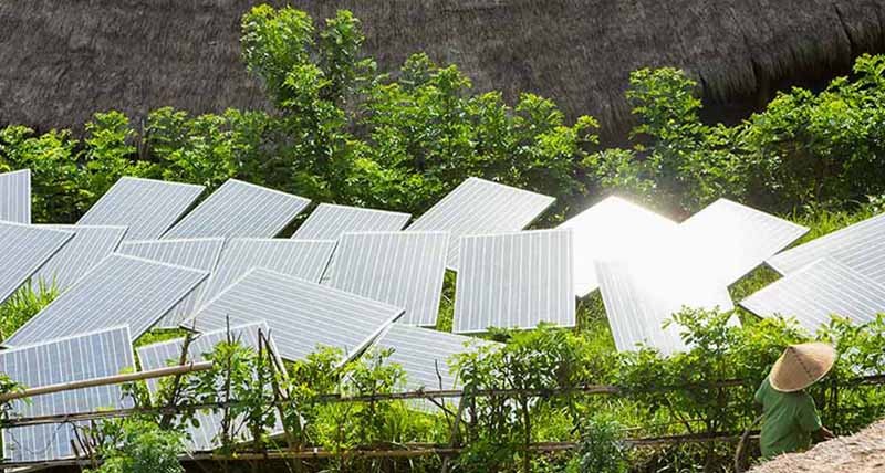 Solar panels in tropical garden