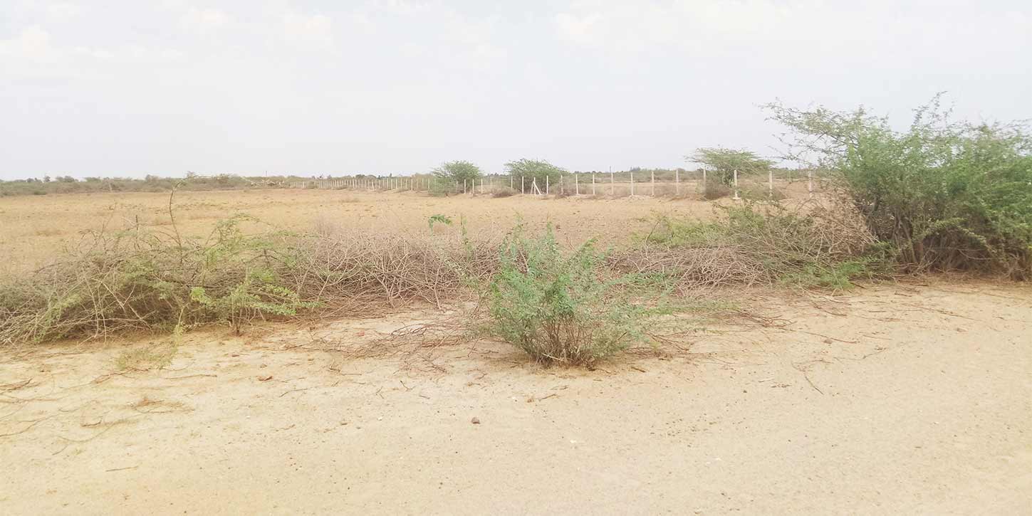 kutch land view