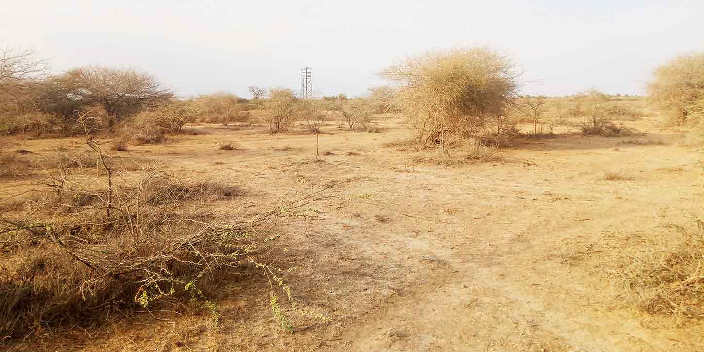 kutch land watch tower in distance