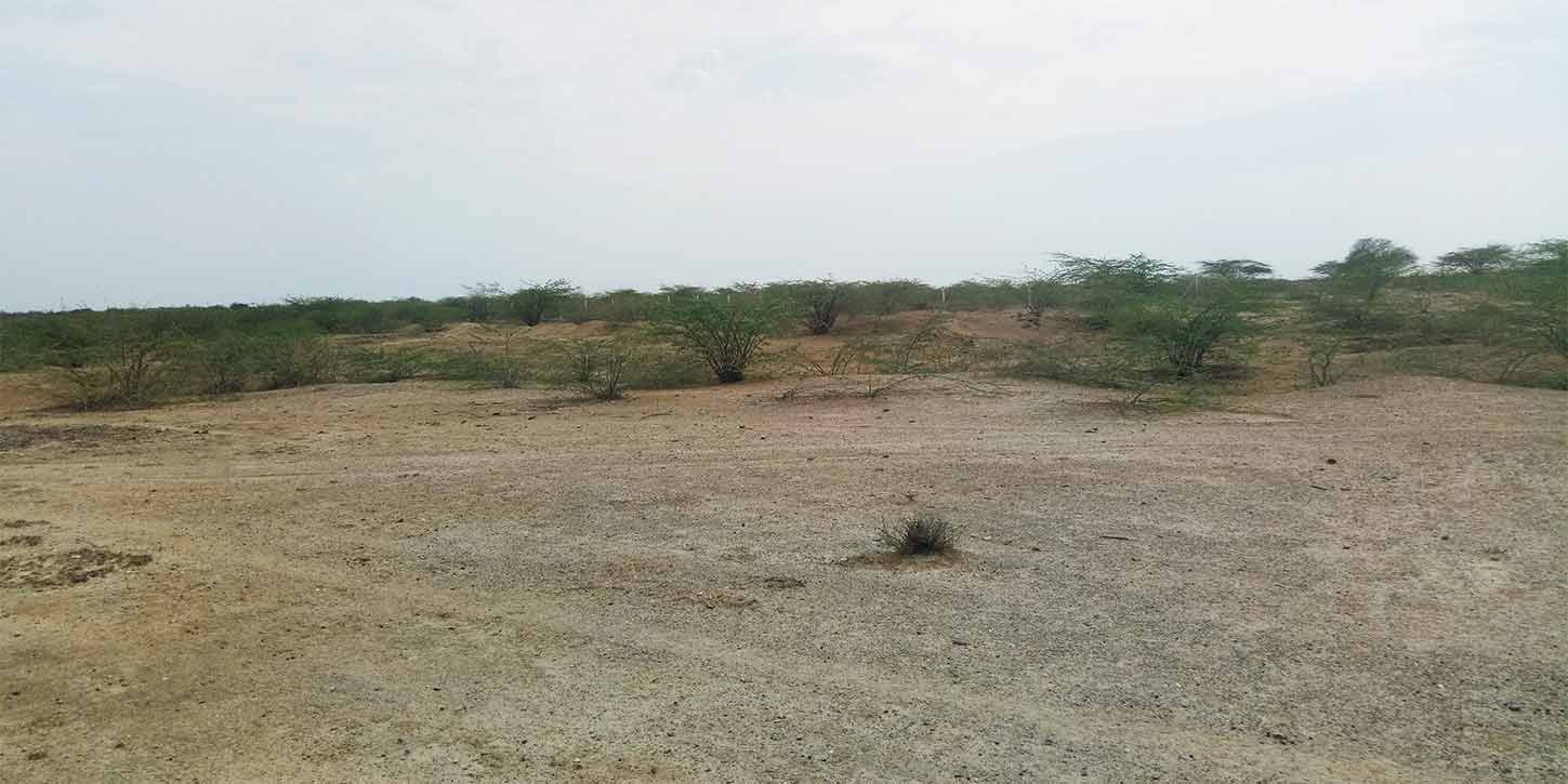 kutch land plane