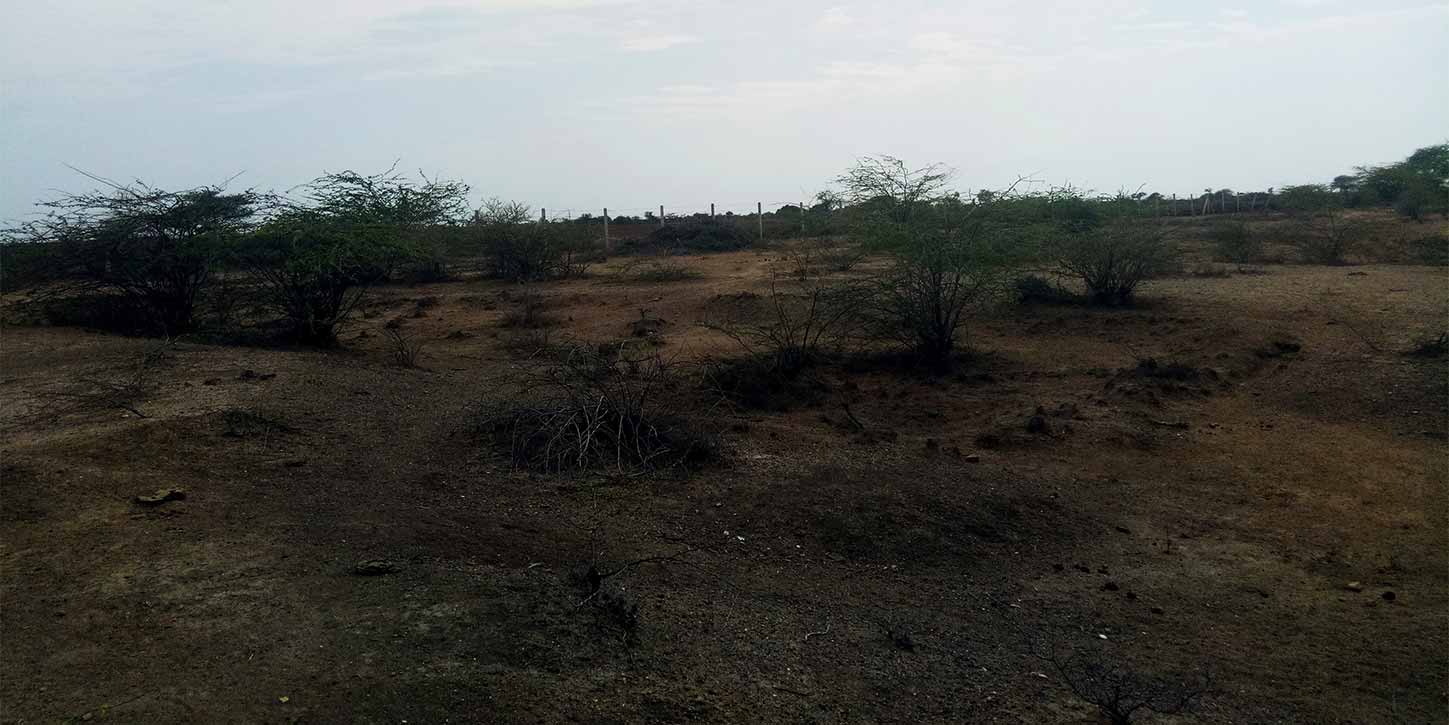 kutch highway