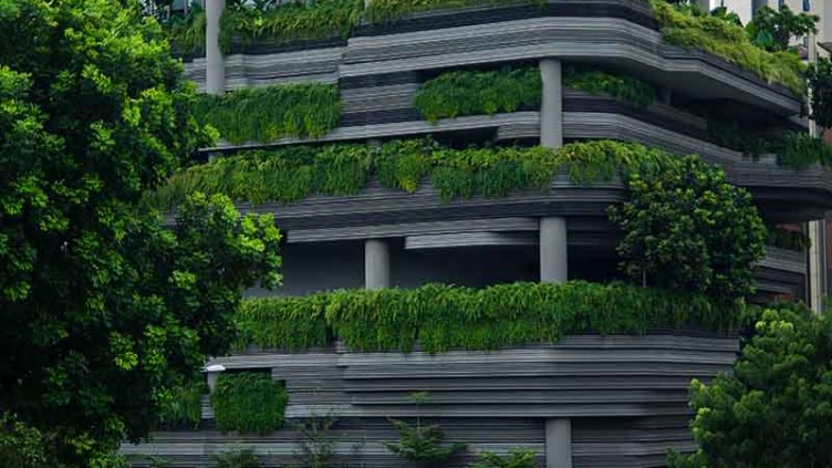 Building surrounded by greenery