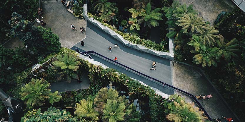 Aerial view of road