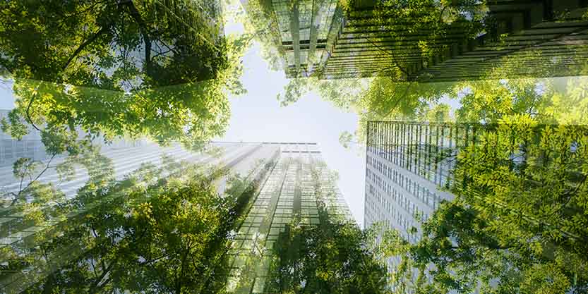 Low angle of a glass building covered with trees