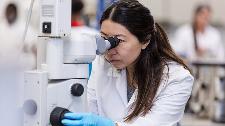 Doctor Looking Into Microscope