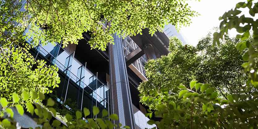 Building seen through trees