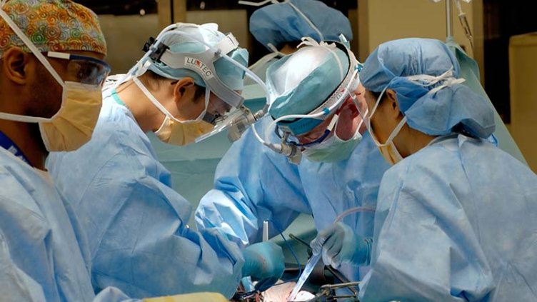 Medical team discussing