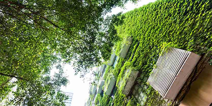Super low energy buildings in Singapore
