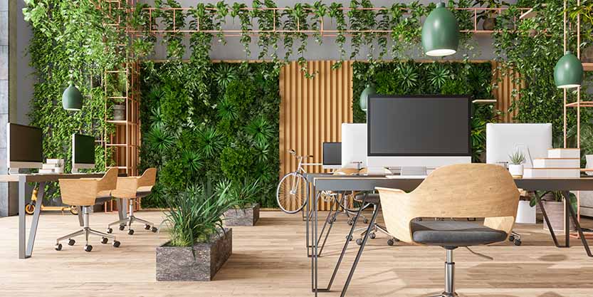 Greenery in the workplace