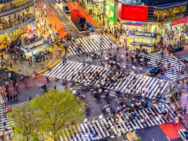 People crossing the road in zebra crossing