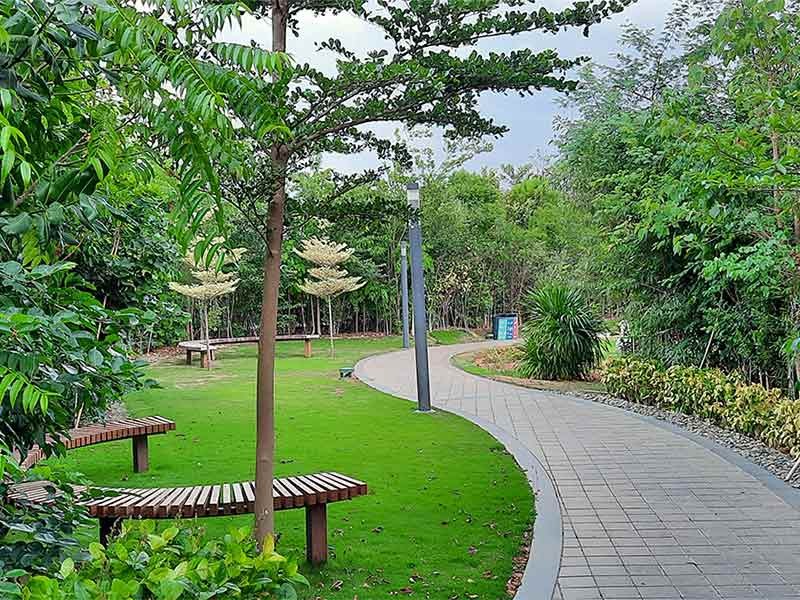 Road Pathway In The Park For Relaxing Walking Jogging Or Running And Exercise 