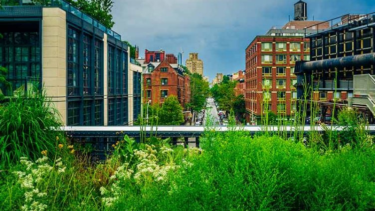 High Line Park in the summer, New York