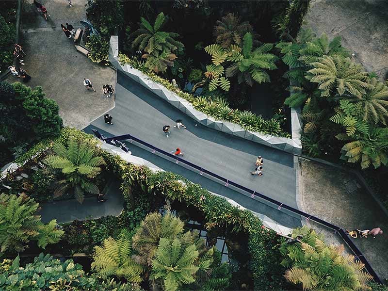 People crossing the bridge