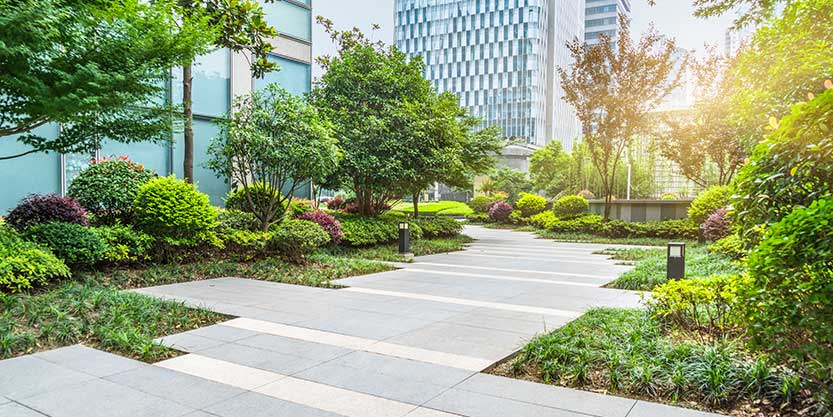 Trees and greenery surrounding buildings