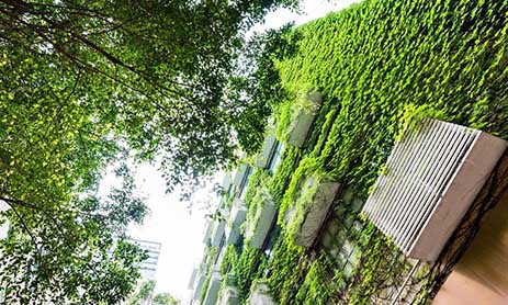 Green Building