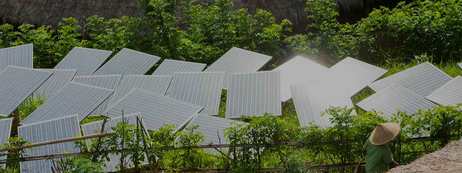 Solar panels in tropical garden