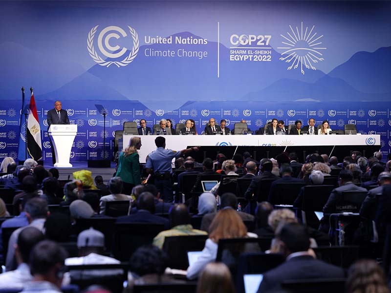 COP27 delegates in Egypt